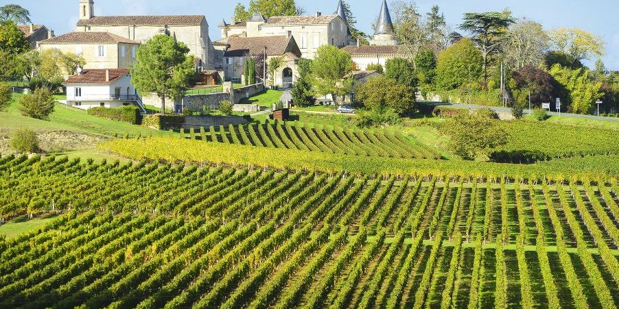 Vineyards of Saint Emilion, Bordeaux Vineyards