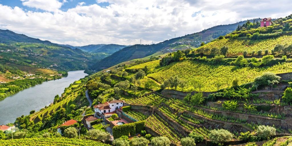 Landscape of the Douro river regionin Portugal -  Vineyards