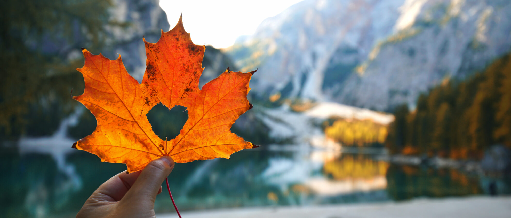 Herbstblatt mit Herz-Ausschnitt vor Bergsee und buntem Herbstwald