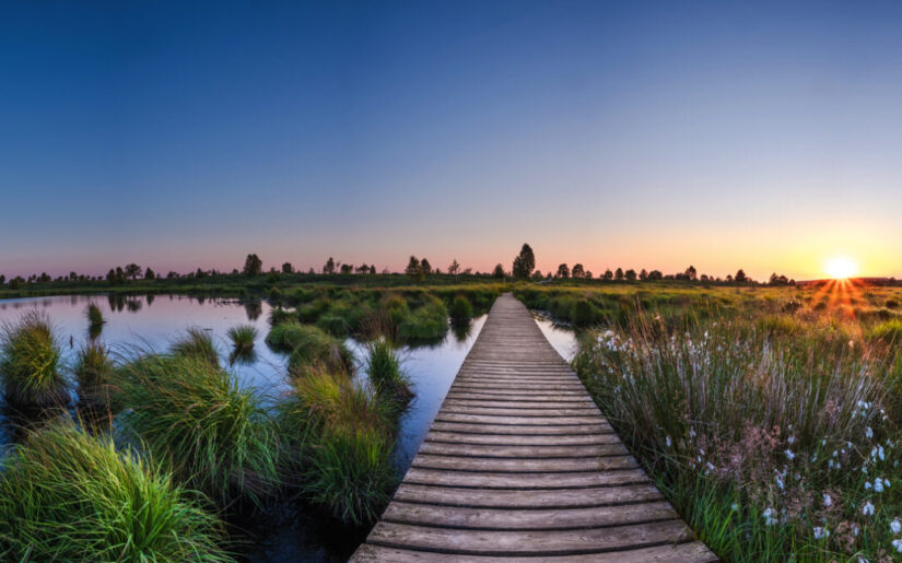 Steg im Hohen Venn bei Sonnenaufgang – Naturparadies und Wanderziel in Belgien