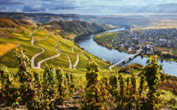 Weihnachtliche Mosel