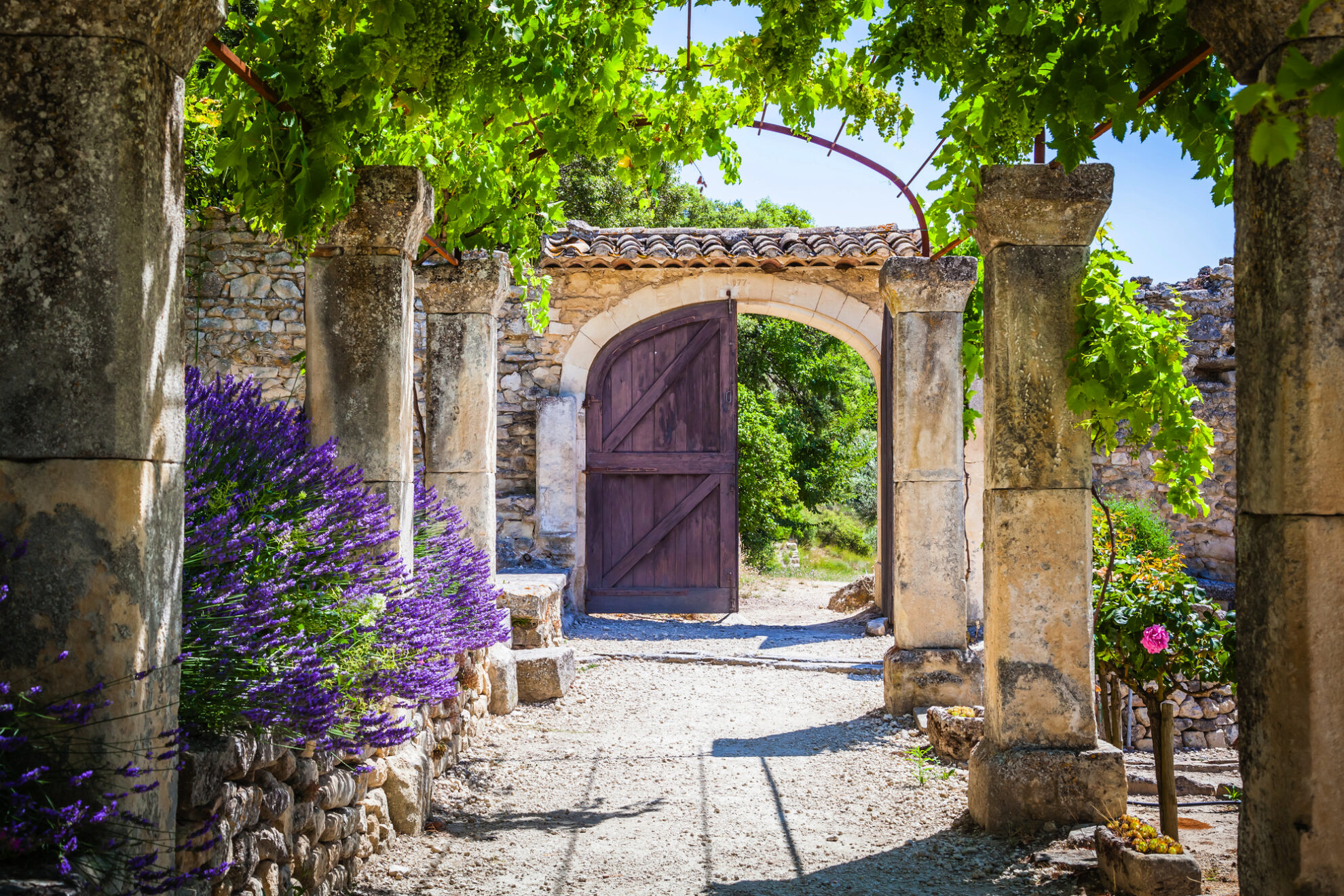 Mediterranes Flair in der Provence: duftender Lavendel, alte Steinmauern und sonnendurchflutete Gärten laden zum Träumen ein. Erleben Sie auf einer Busreise nach Südfrankreich die Schönheit malerischer Dörfer, regionale Kulinarik und den Zauber französischer Lebensart.