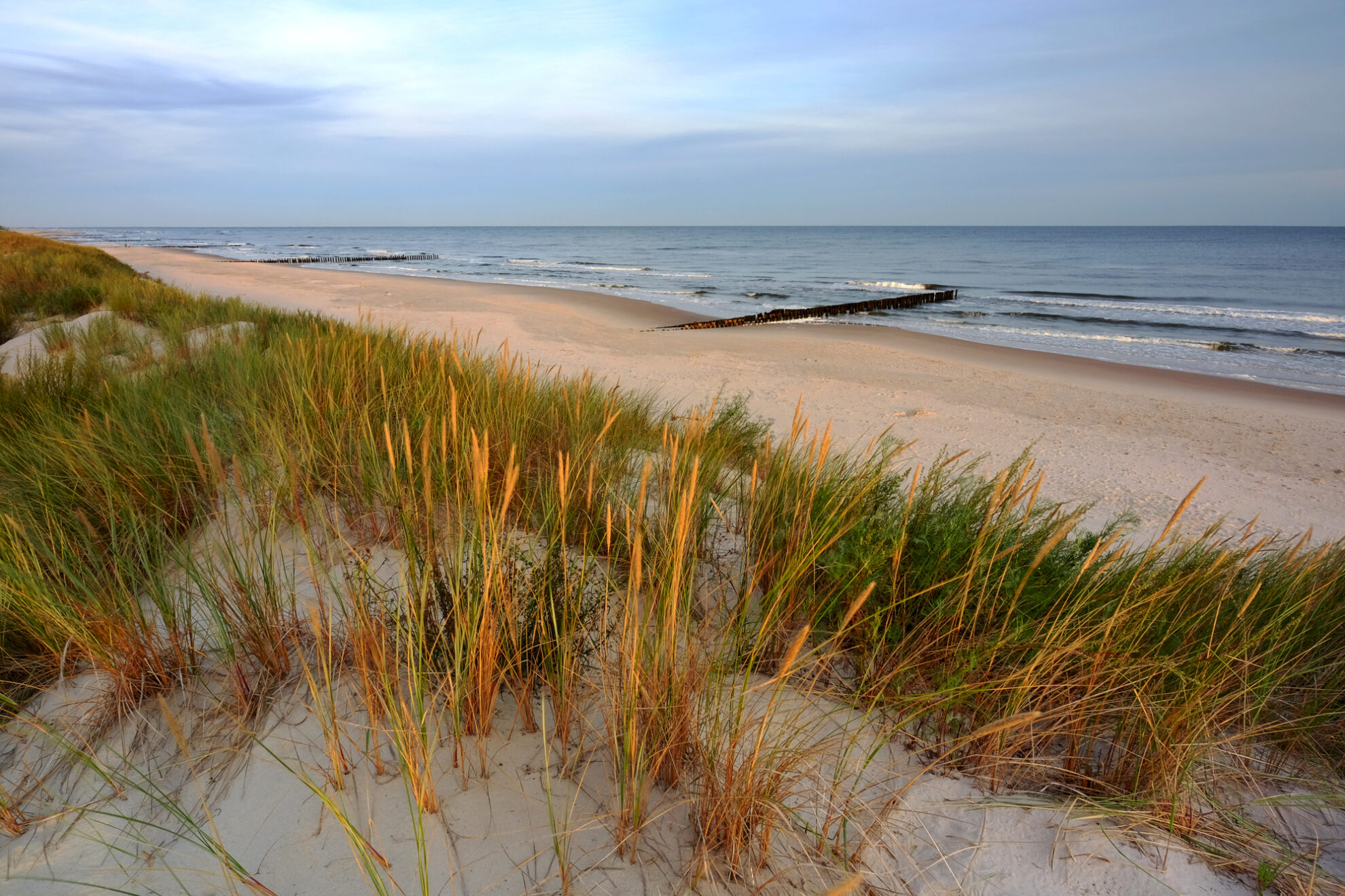 Strand von Kolberg in Polen – feiner Sand, Dünenlandschaft und Blick auf die Ostsee.