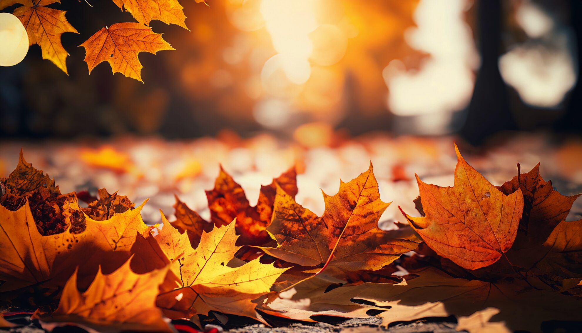 Idyllische Ruhebank mit Blick über grüne Wiesen und sanfte Hügel