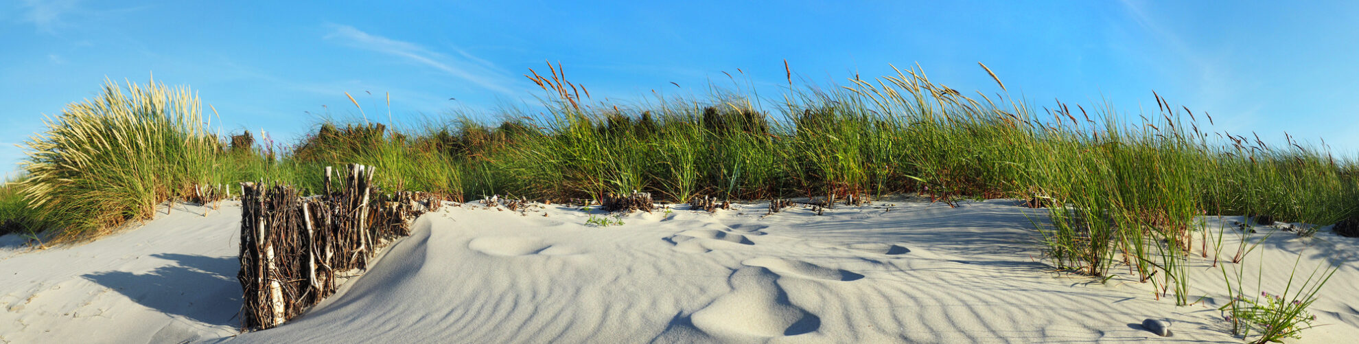 Idyllische Sanddünen mit Strandhafer an der Ostsee – Natur pur und maritimes Urlaubsgefühl am Meer