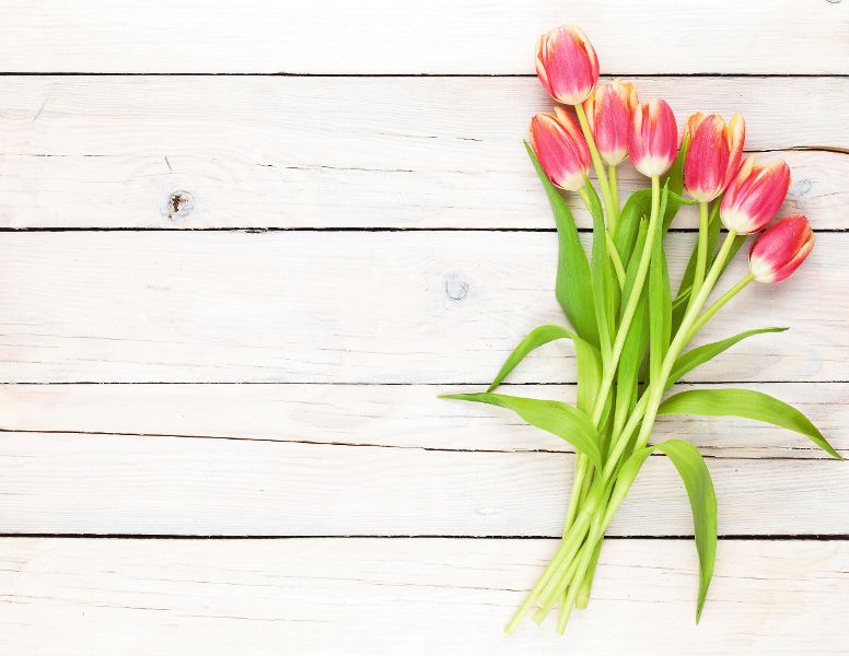 Frühlingshafte Tulpen auf hellem Holztisch – bunte Blumen als Symbol für Frühling, Natur und frische Dekoration.