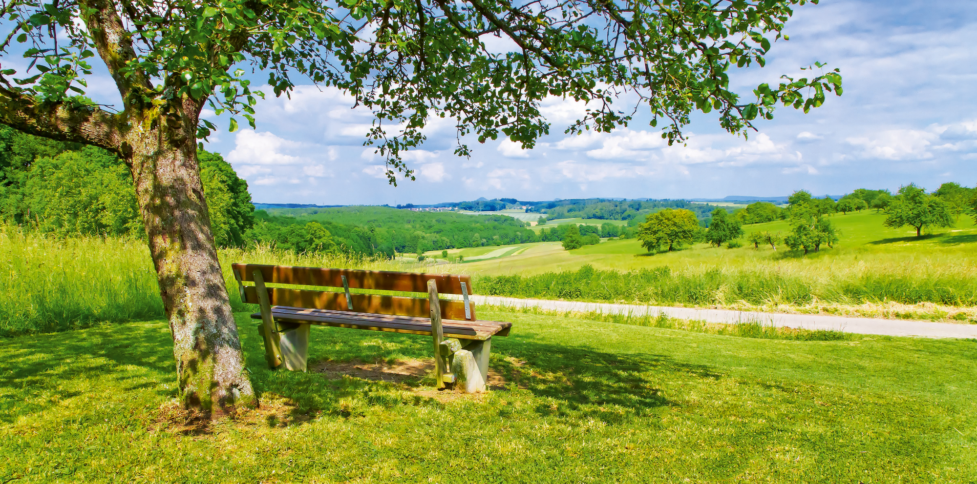 Idyllische Ruhebank mit Blick über grüne Wiesen und sanfte Hügel