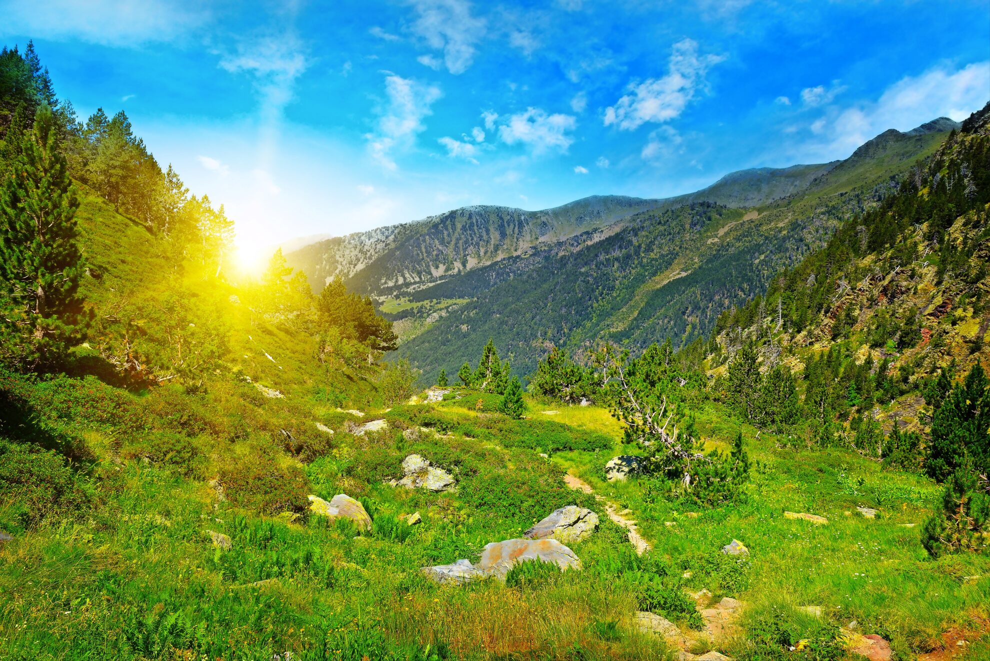 Sonniger Morgen in den Pyrenäen – grüne Berglandschaft mit Panoramablick und unberührter Natur.