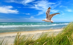 <p><span>Nordsee Spezial</span></p>