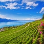 Lavaux, Genfer See