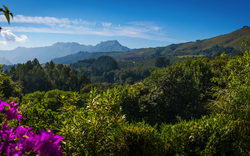 Panorama mit Blick auf die Picos de Europa