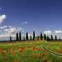 Val d'Orcia