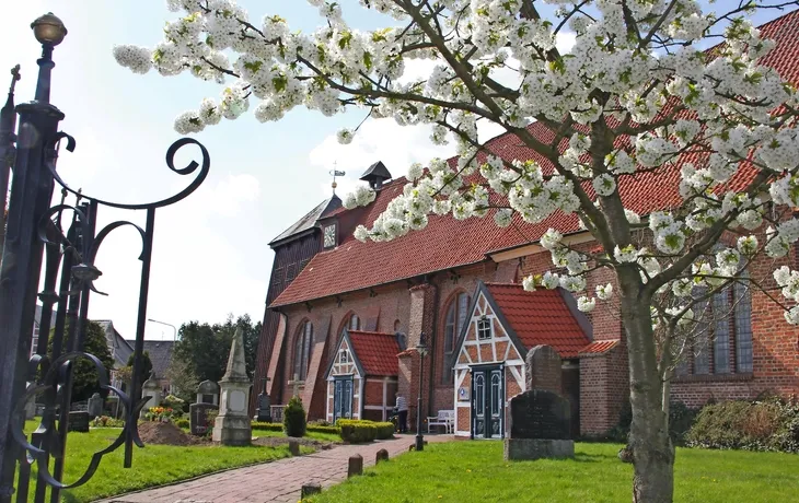 Altes Land - Obstbaumblüte T26