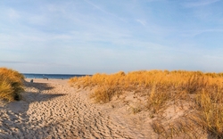 <p><span>Fahrt ins Blaue</span></p>