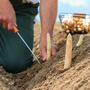 Mensch erntet weißen Spargel auf einem Feld.