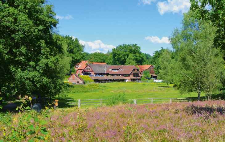 Stint, Fisch und mehr in Eckernworth T26