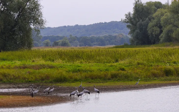 Elb-Panorama Tour T26