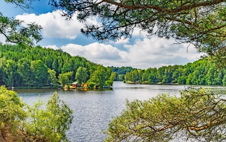 Harz - Große Talsperrenrundfahrt T26