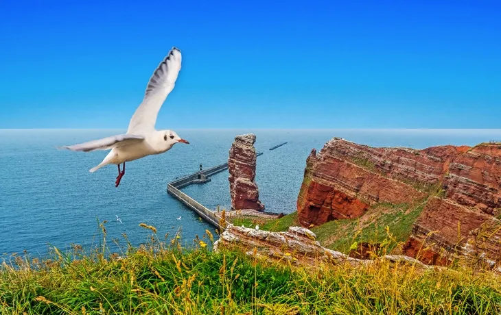 Helgoland mit Katamaran T26