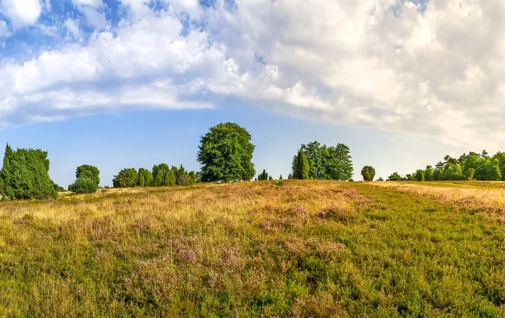 Martinstag in der Lüneburger Heide T26