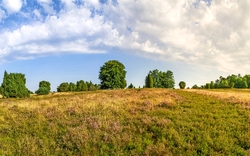 <p><span>Martinstag in der Lüneburger Heide</span></p>
