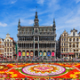 Blumenteppich auf dem Grote Markt in Brüssel mit historischen Gebäuden im Hintergrund.