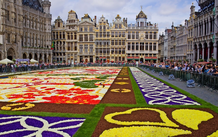 Blumenteppich auf dem Grand Place in Brüssel, umgeben von historischen Gebäuden.