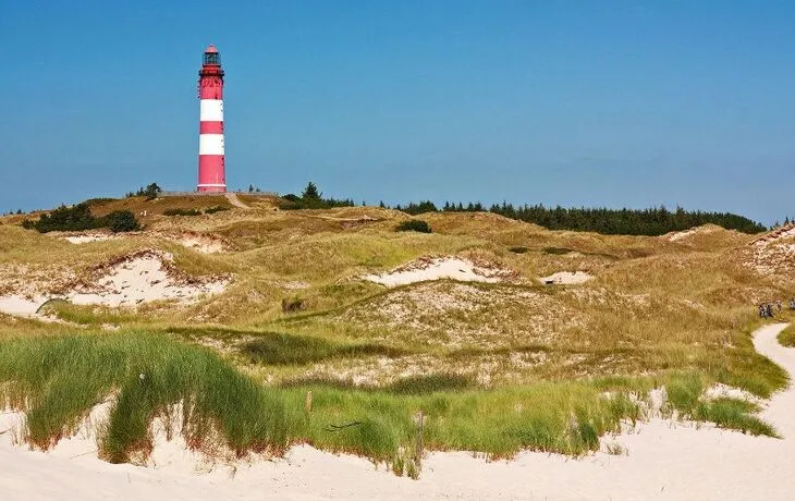 Amrum T26