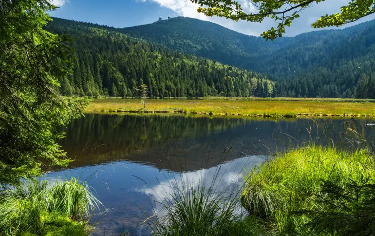 Bayerischer Wald - Alleinreisende