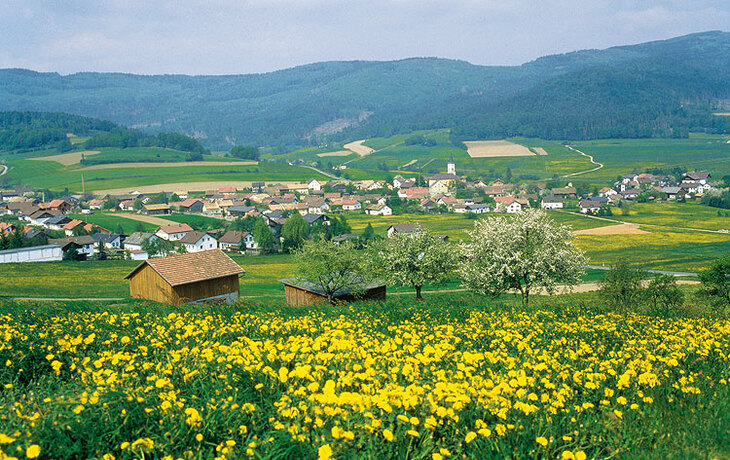 Lam im Bayerischen Wald