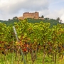 Hambacher Schloss an der Deutschen Weinstrasse