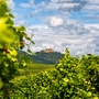 Hambacher Schloss an der Deutschen Weinstrasse