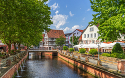 <p><span>Odenwald</span></p>