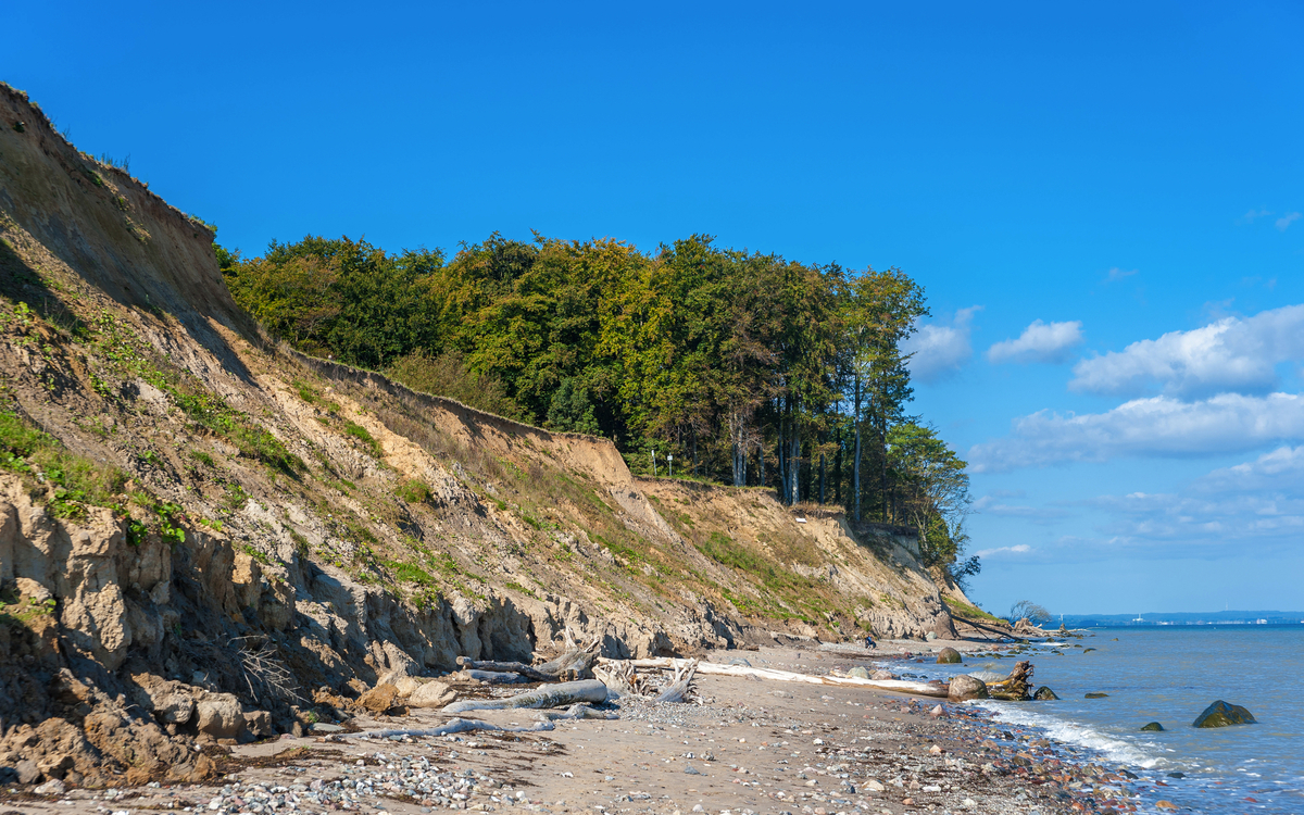 Klippenküste mit Bäumen und steiniger Strand bei blauem Himmel.