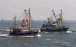 <p><span>Büsumer Kutterregattafest</span></p>