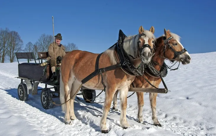 Adventsstimmung in der Heide - Behringen T26