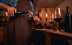 Rotwein vom zertifizierten Winzer im Weingut