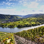 Moselschleife und Weinberge in Rheinland-Pfalz