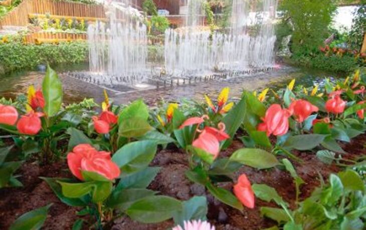 Innenansicht der Blumenhalle Wiesmoor 