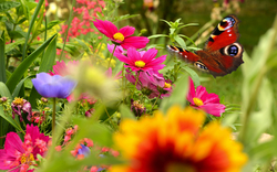 <p><span>Landesgartenschau 2026</span></p>