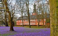 <p><span>Krokusblüte in Husum</span></p>