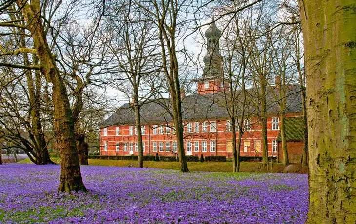 Probstei - Frühlingserwachen und Krokusblüte T26