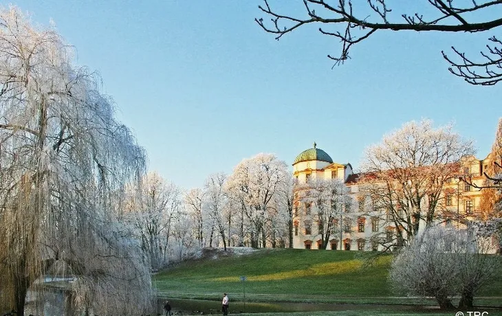 Celle im Advent T26