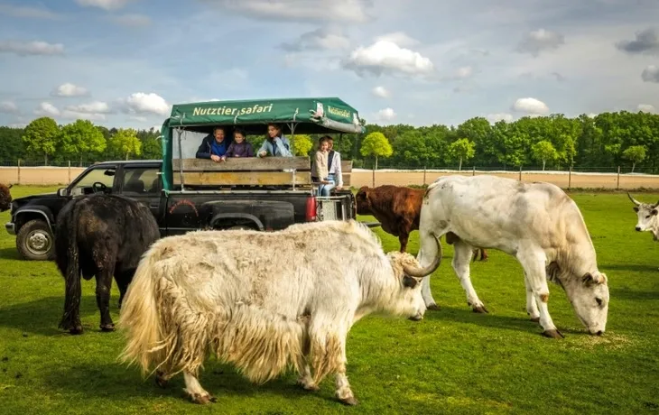 Bad Bodenteich - Nutztiersafari T26