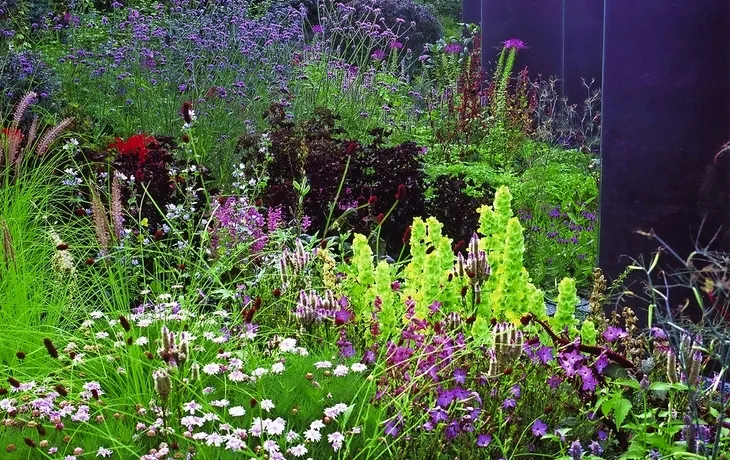 Ellerhoop Arboretum T26