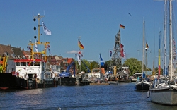 <p><span>Matjesbuffet</span></p>