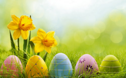 <p><span>Ostereiersuche auf der Insel Poel</span></p>