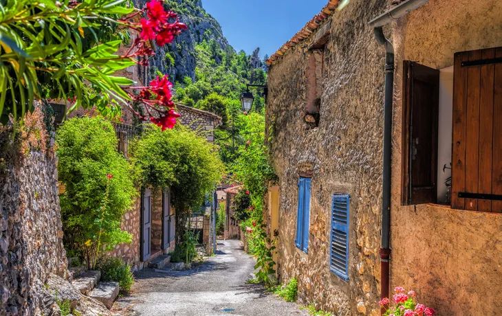 Gourmet Provence