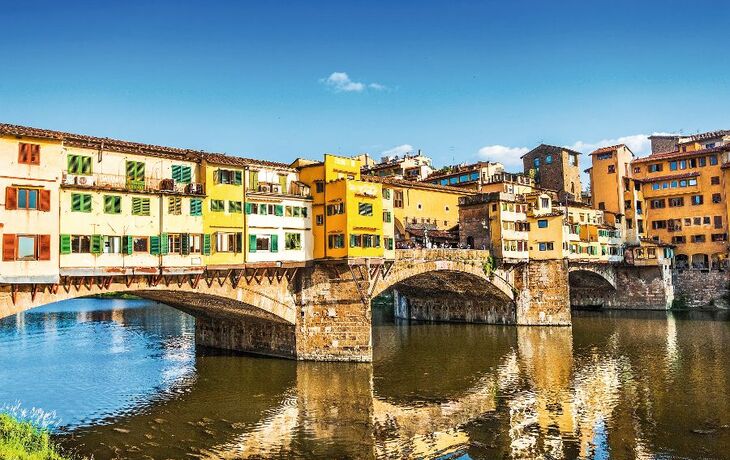 Olivenernte Toskana S25