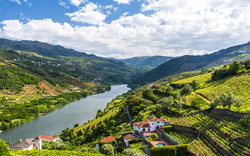 <p><span>Douro</span></p>